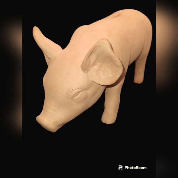 Piggy Bank - Picture 8 of 14